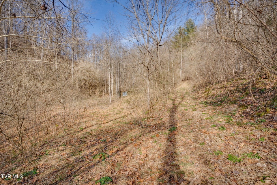 Photo #4: 2595 Sinking Creek Highway