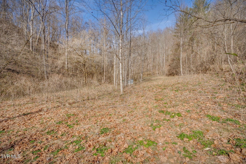 Photo #5: 2595 Sinking Creek Highway