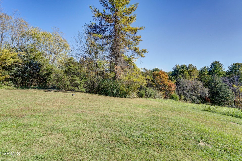 Photo #70: 1604 Boones Creek Road