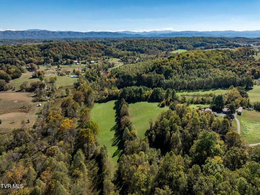 Photo #87: 1604 Boones Creek Road