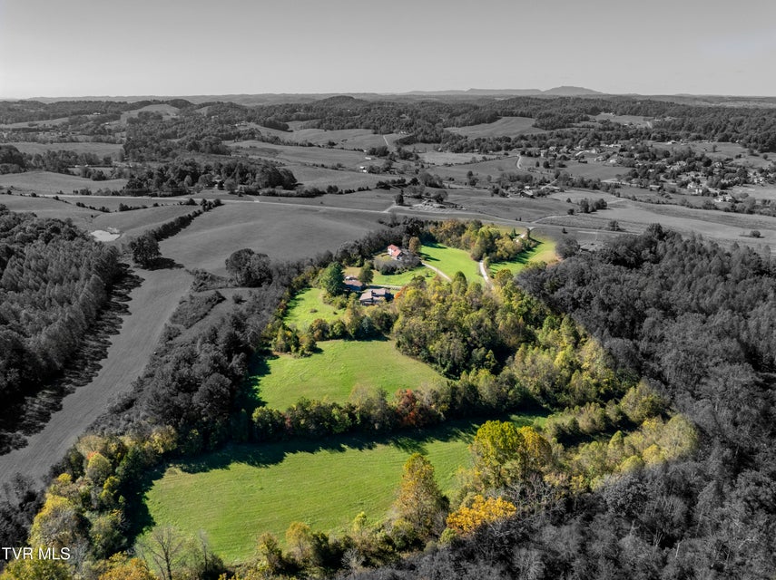 Photo #97: 1604 Boones Creek Road