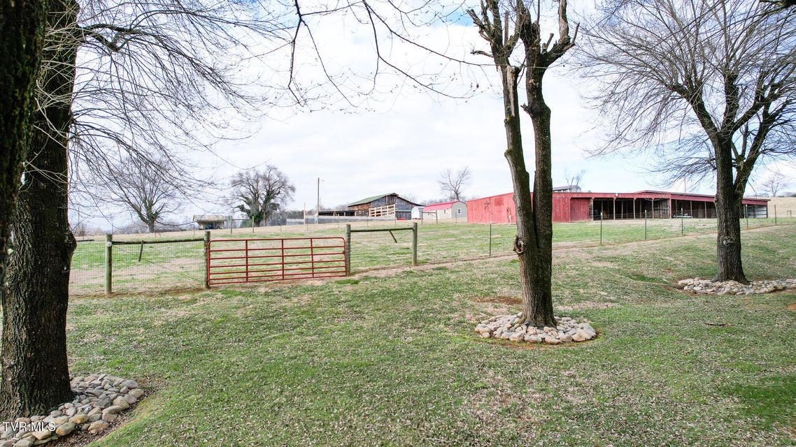 Photo #51: 1830 Sunnyside Road