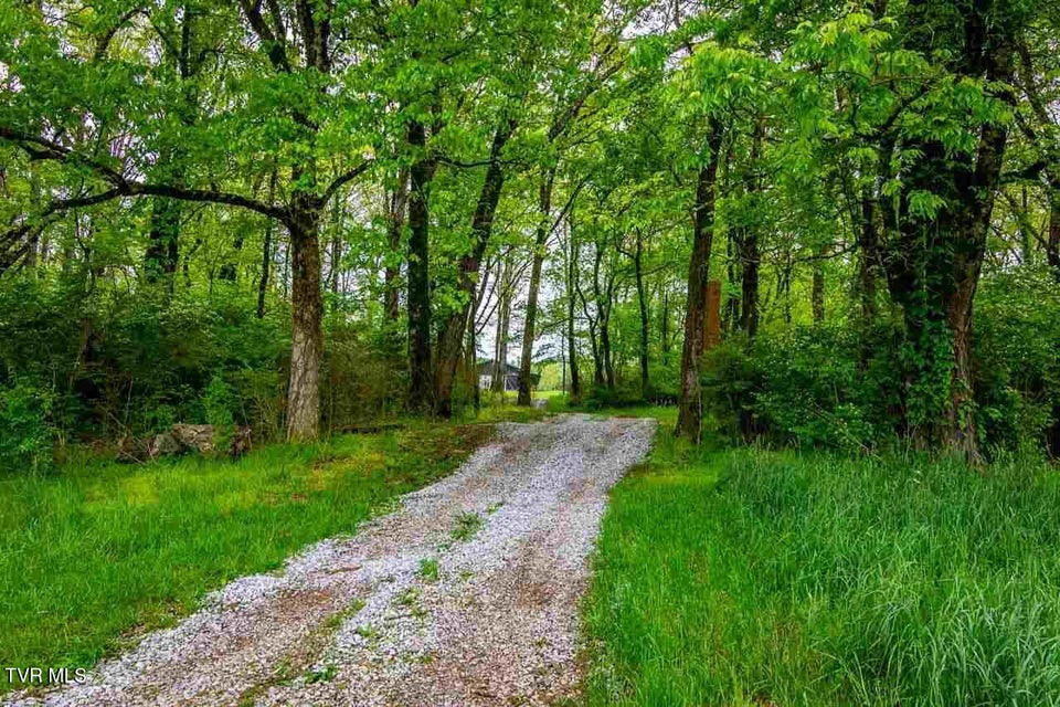 Photo #6: Tbd Andrew Johnson Highway