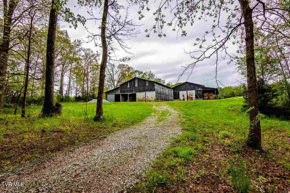 Photo #7: Tbd Andrew Johnson Highway