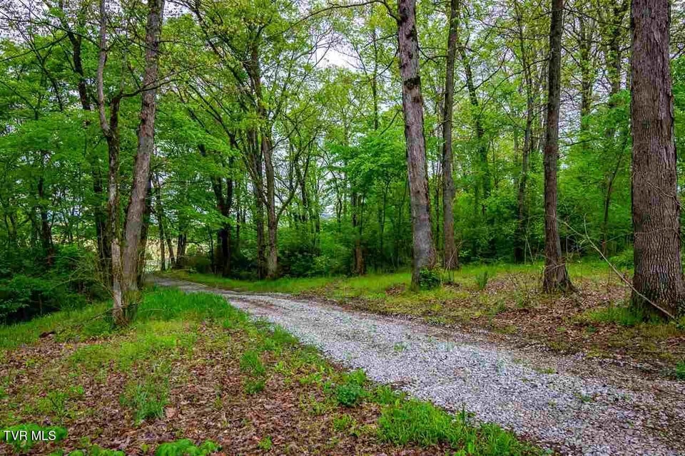 Photo #9: Tbd Andrew Johnson Highway