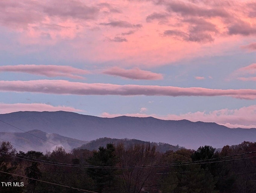 Photo #74: 2482 Elk Way