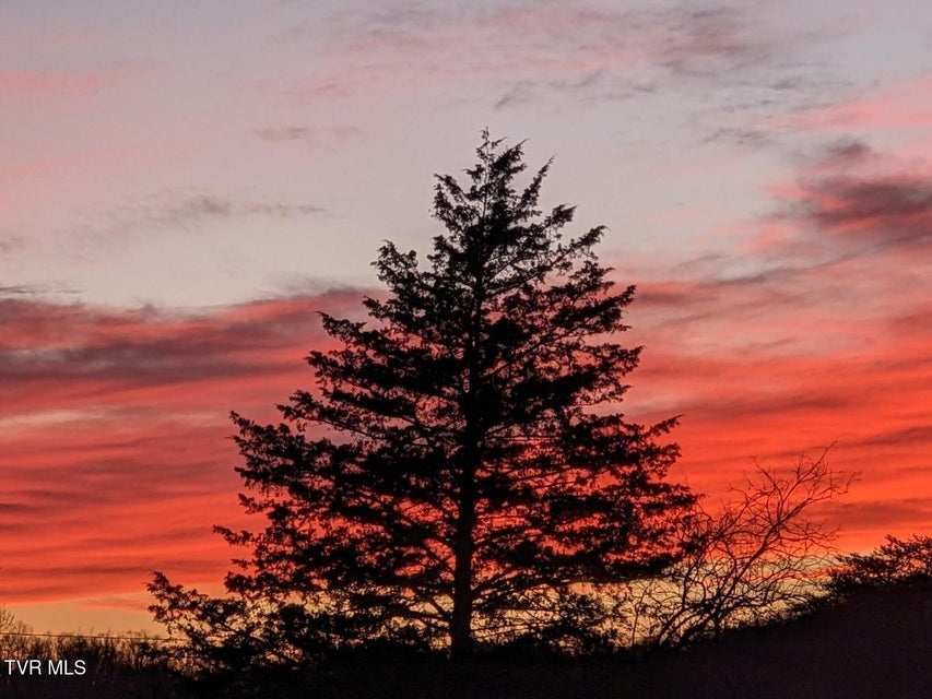 Photo #75: 2482 Elk Way