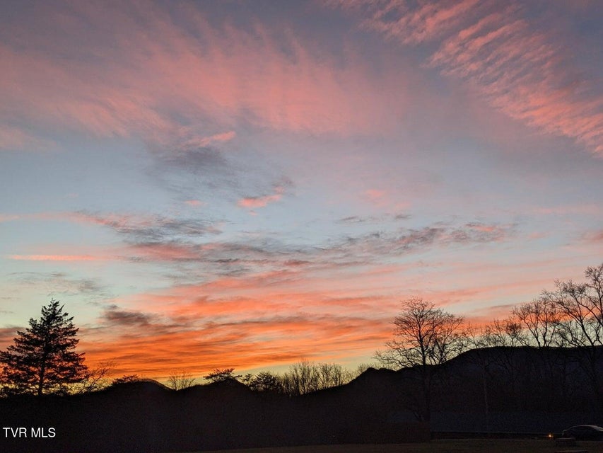 Photo #76: 2482 Elk Way