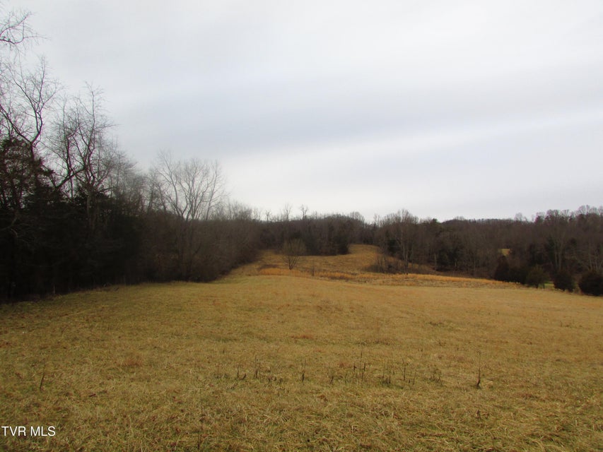 Photo #3: 1411 Bristol Caverns Highway