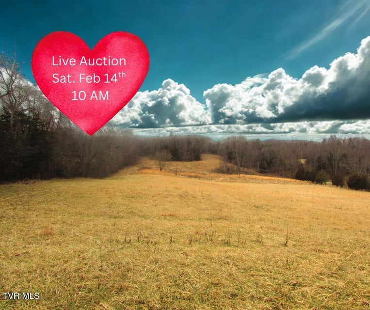 Photo #4: 1411 Bristol Caverns Highway