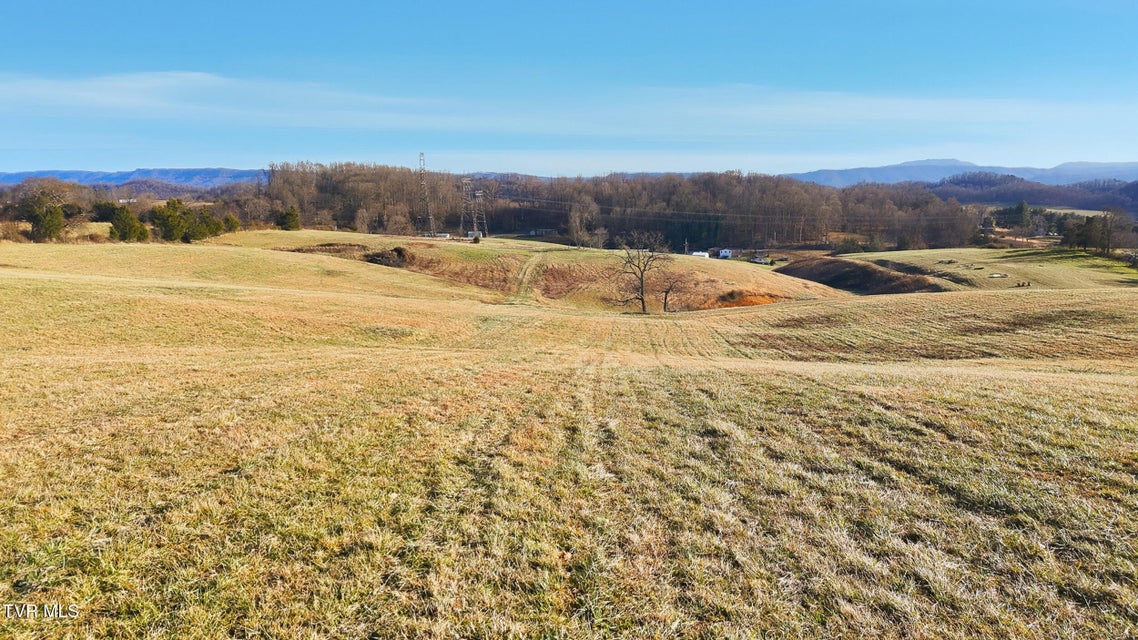 Photo #3: 261 Dotson Lane