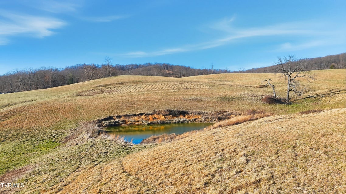 Photo #3: 261 Dotson Lane