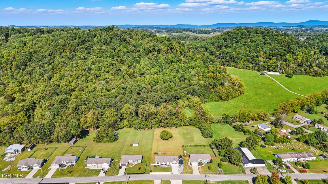 Photo #47: 470 Roaming Drive