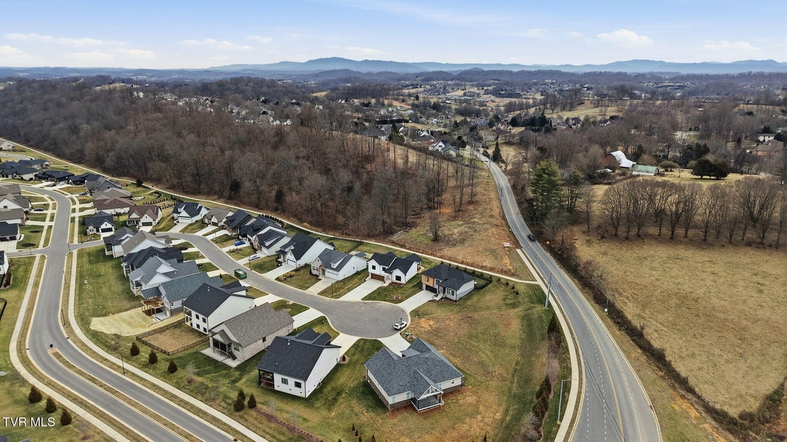 Photo #38: 287 Winston Place