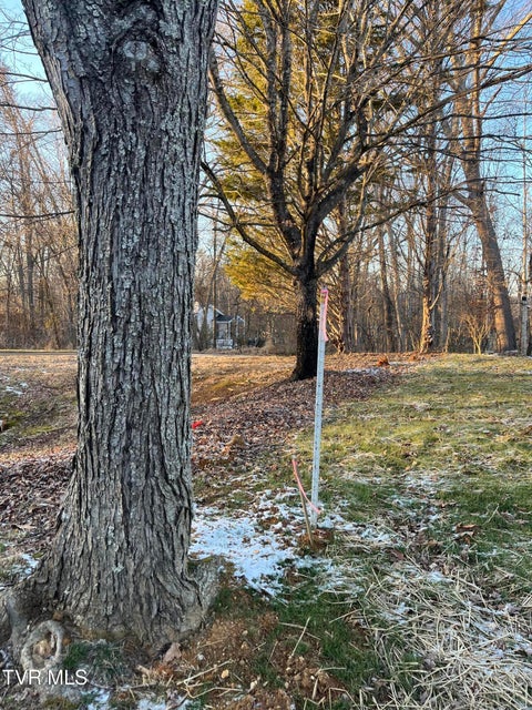 Photo #3: 101 Lexington Court