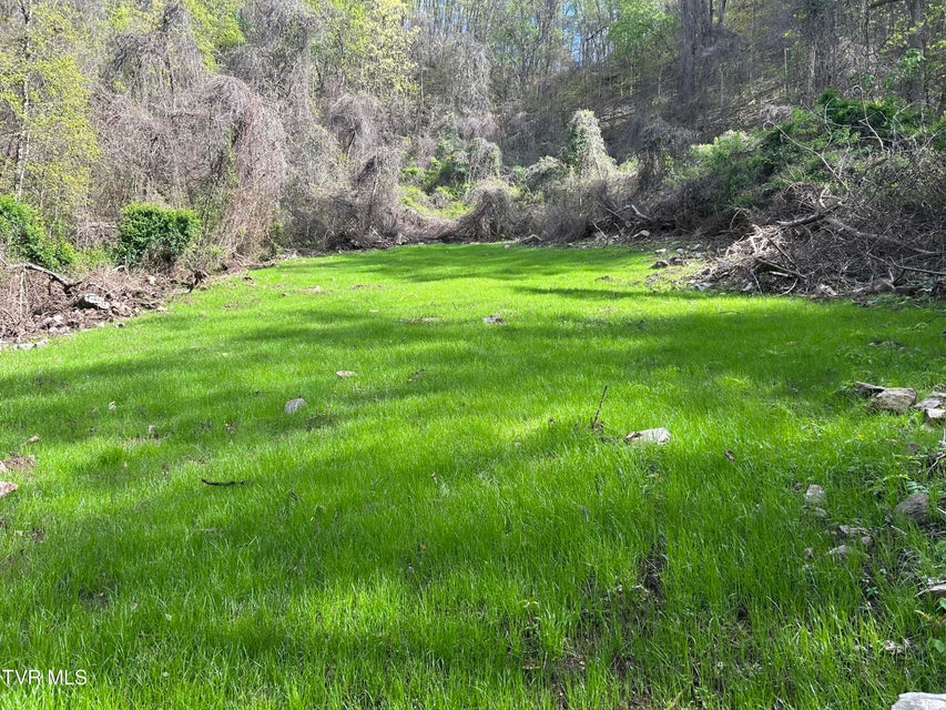 Photo #2: 0 Christians Bend Road