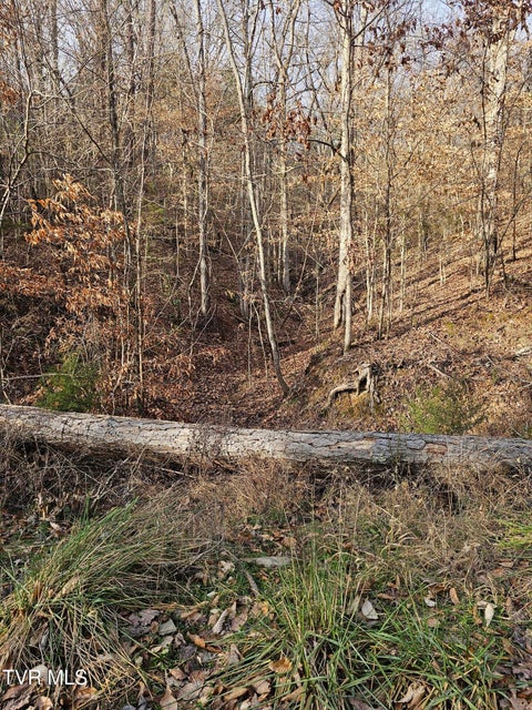 Photo #3: 0 Cherrybrook Way