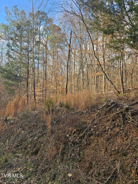 Photo #5: 0 Cherrybrook Way