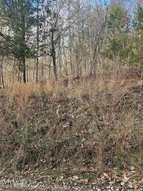 Photo #6: 0 Cherrybrook Way