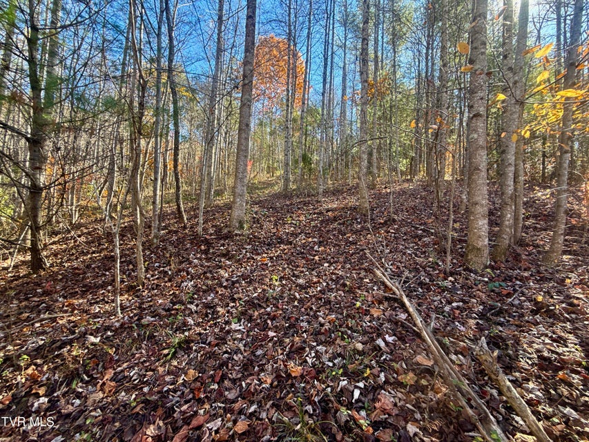 Photo #2: 11/Ac State Highway 37 (Hwy 19e) 