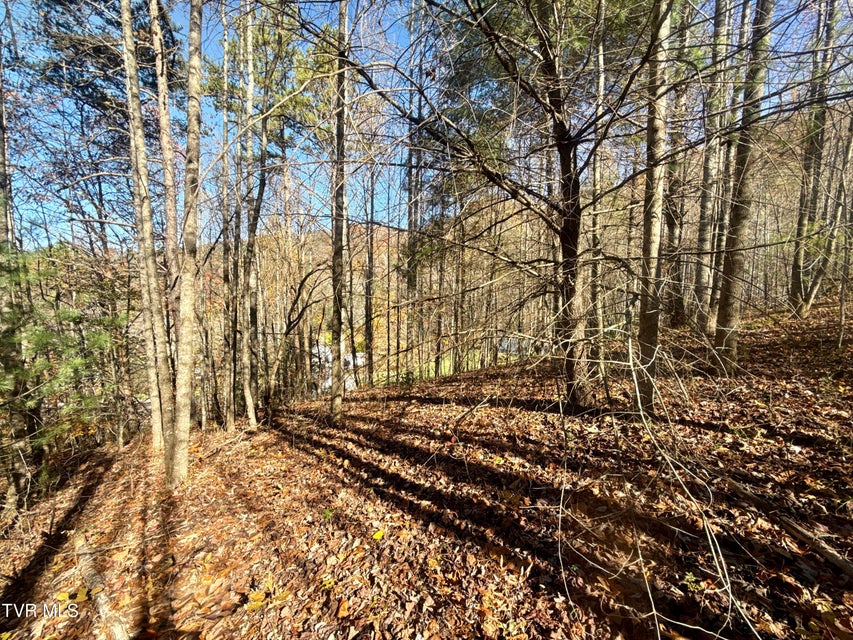 Photo #5: 11/Ac State Highway 37 (Hwy 19e) 