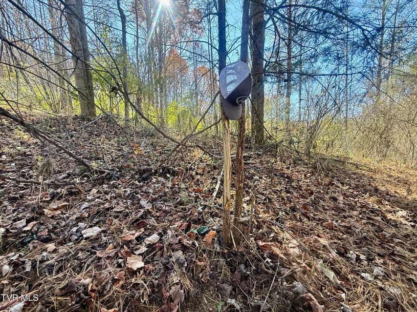 Photo #7: 11/Ac State Highway 37 (Hwy 19e) 