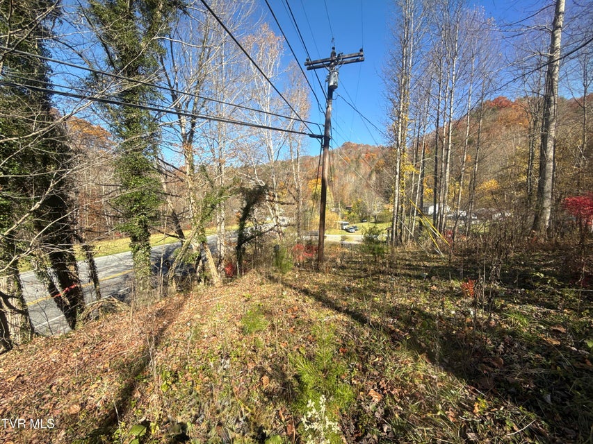 Photo #8: 11/Ac State Highway 37 (Hwy 19e) 