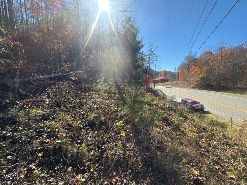 Photo #9: 11/Ac State Highway 37 (Hwy 19e) 