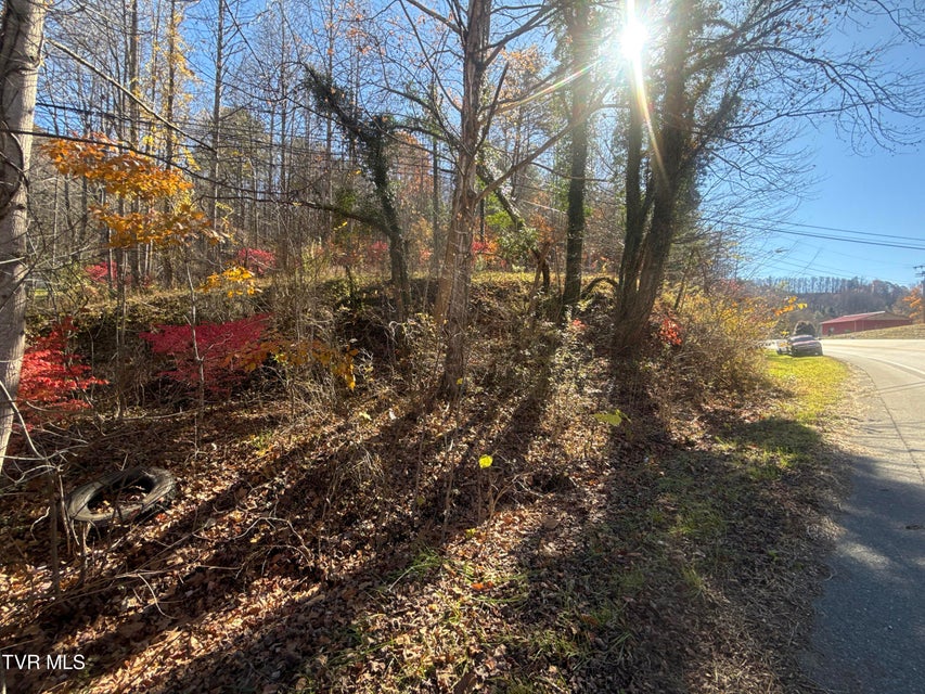 Photo #10: 11/Ac State Highway 37 (Hwy 19e) 