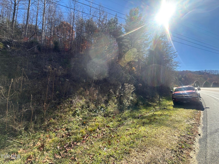 Photo #11: 11/Ac State Highway 37 (Hwy 19e) 