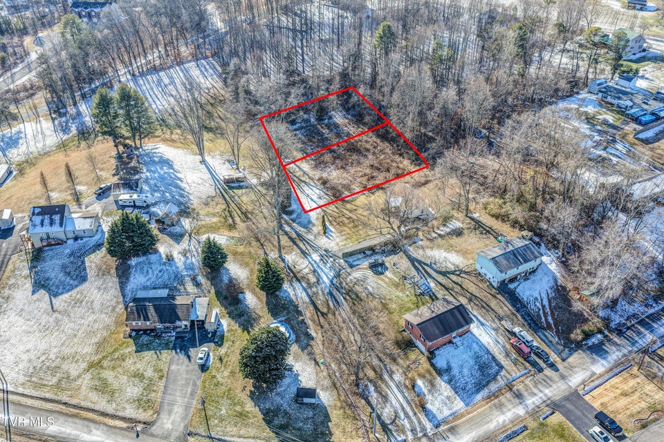 Photo #11: Tbd Briscoe Drive