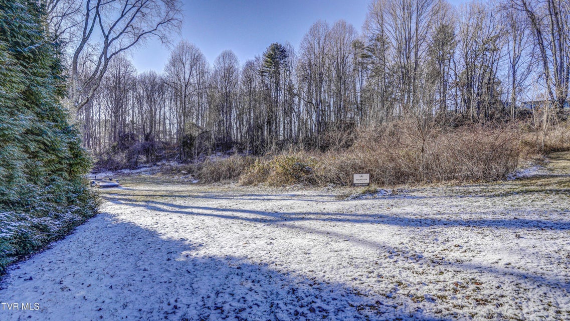 Photo #6: Tbd Briscoe Drive