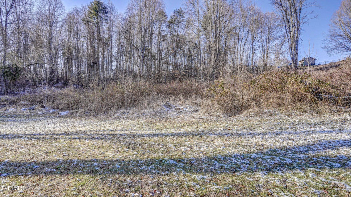 Photo #7: Tbd Briscoe Drive