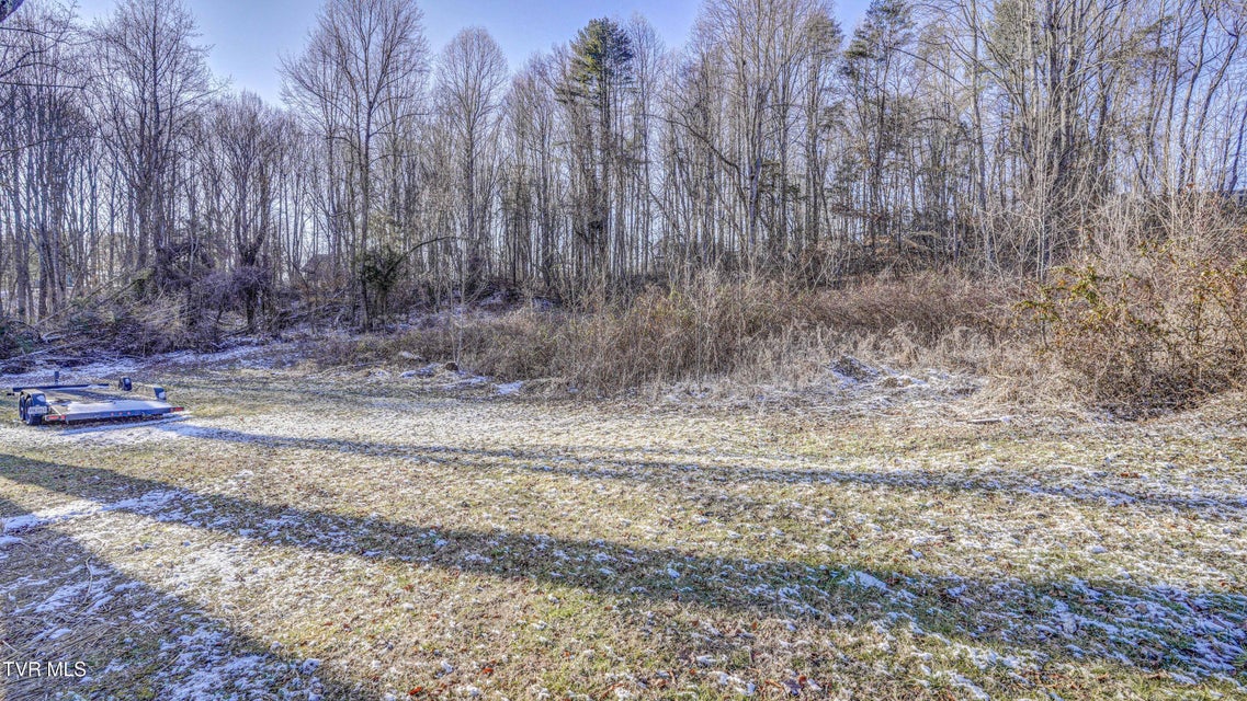 Photo #8: Tbd Briscoe Drive