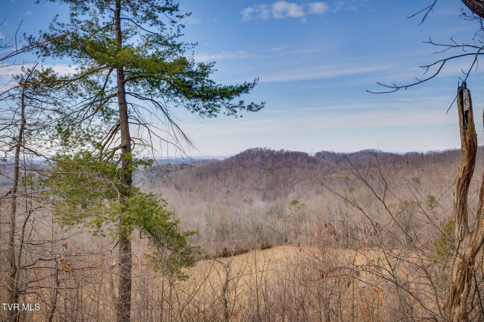 Photo #3: 309 Holston Mountain Road