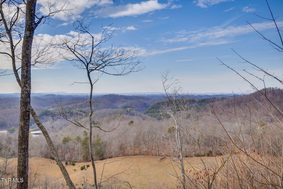 Photo #4: 309 Holston Mountain Road