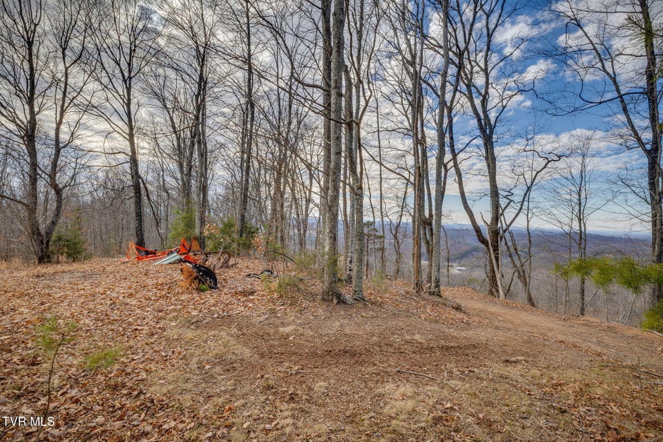 Photo #5: 309 Holston Mountain Road