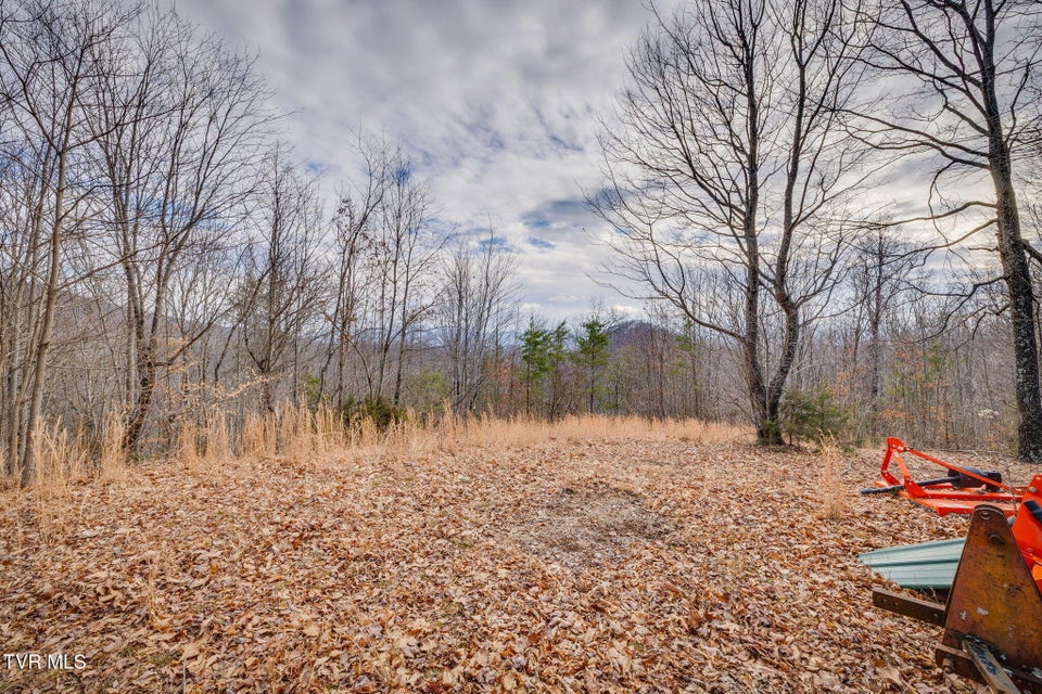 Photo #6: 309 Holston Mountain Road