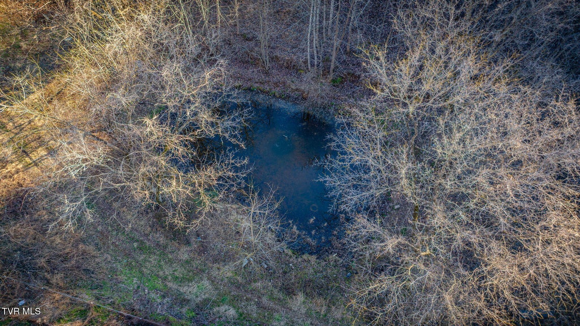 Photo #11: 309 Holston Mountain Road