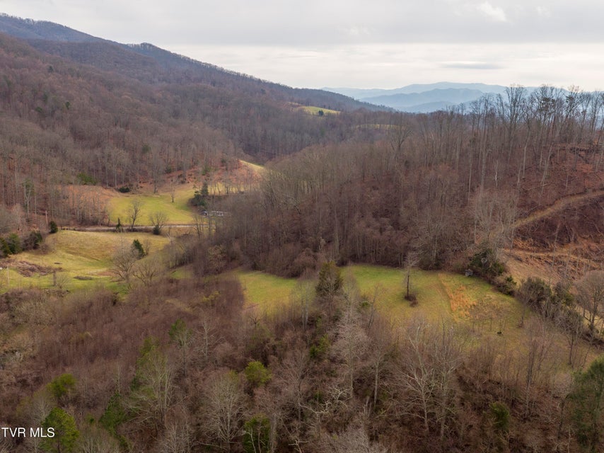 Photo #16: 309 Holston Mountain Road
