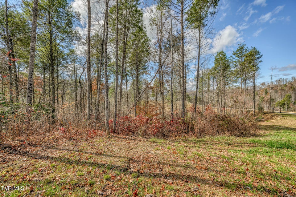 Photo #67: 169 Teaberry Road