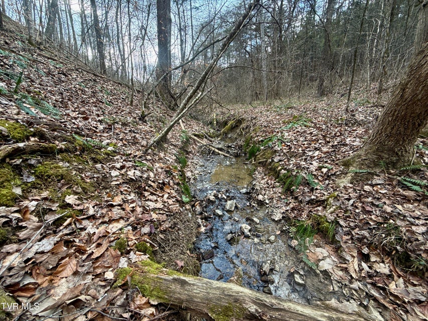 Photo #4: 25/Ac Tbd Coy Bradley Lane