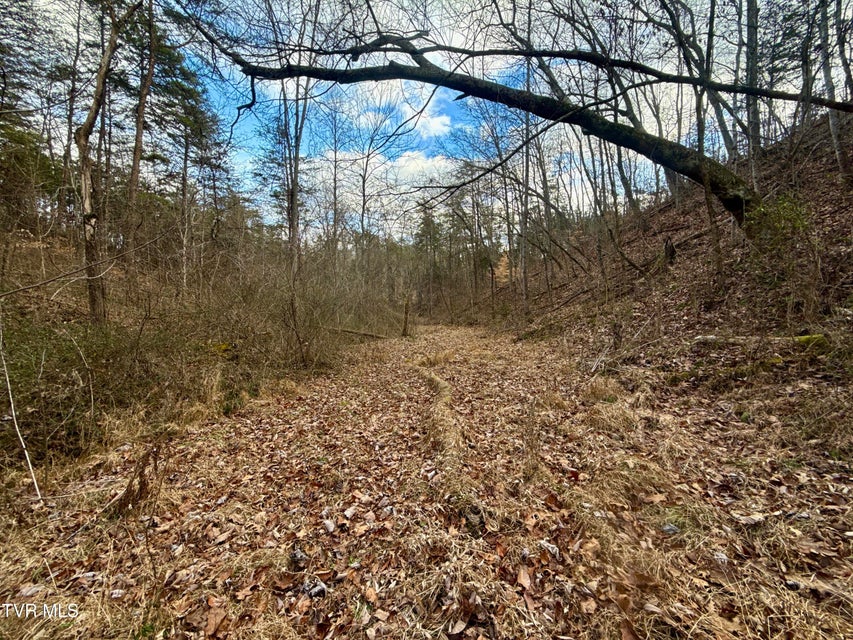 Photo #5: 25/Ac Tbd Coy Bradley Lane