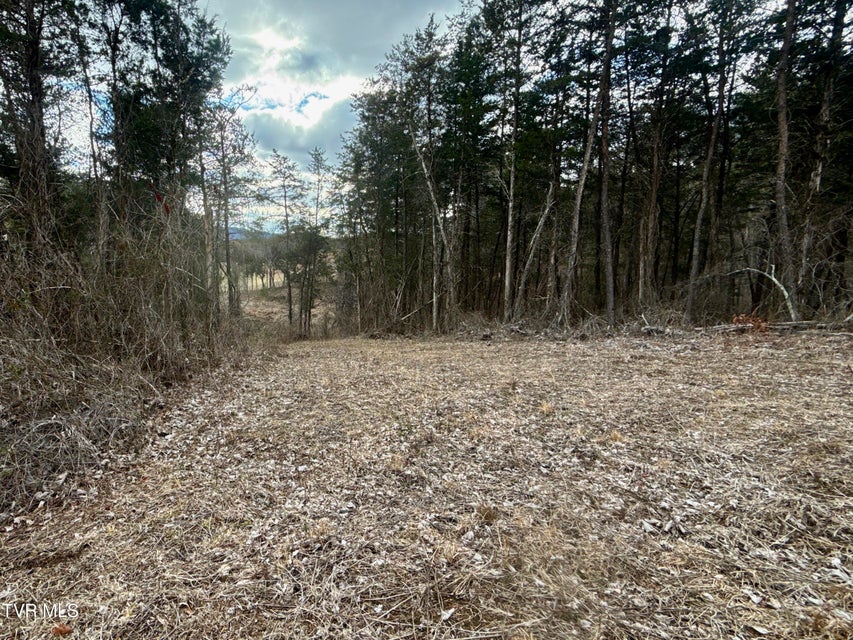 Photo #9: 25/Ac Tbd Coy Bradley Lane