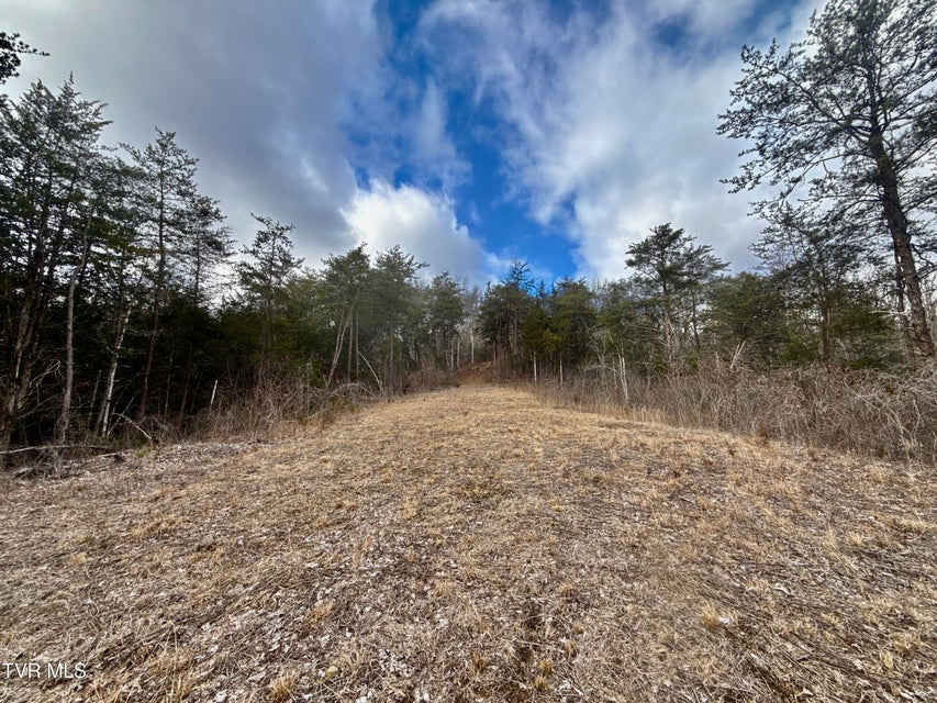 Photo #10: 25/Ac Tbd Coy Bradley Lane