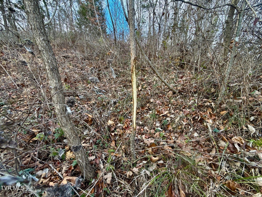 Photo #12: 25/Ac Tbd Coy Bradley Lane