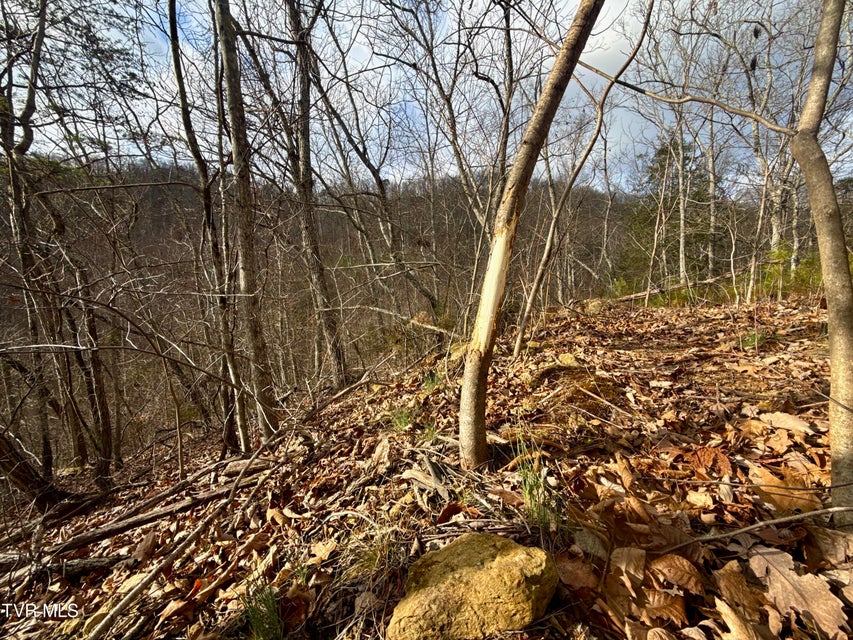 Photo #14: 25/Ac Tbd Coy Bradley Lane