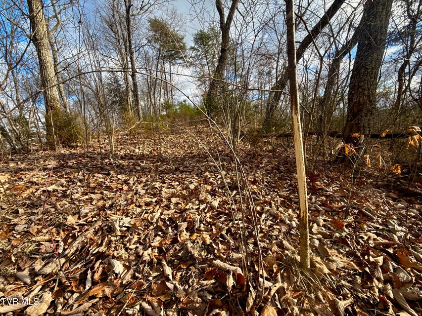 Photo #15: 25/Ac Tbd Coy Bradley Lane