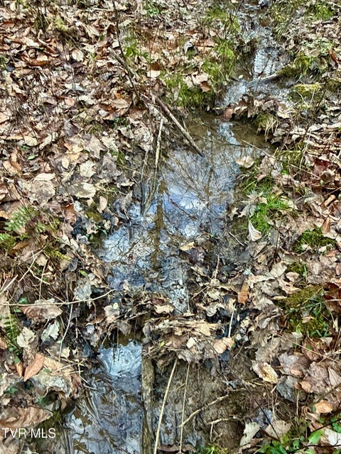 Photo #16: 25/Ac Tbd Coy Bradley Lane