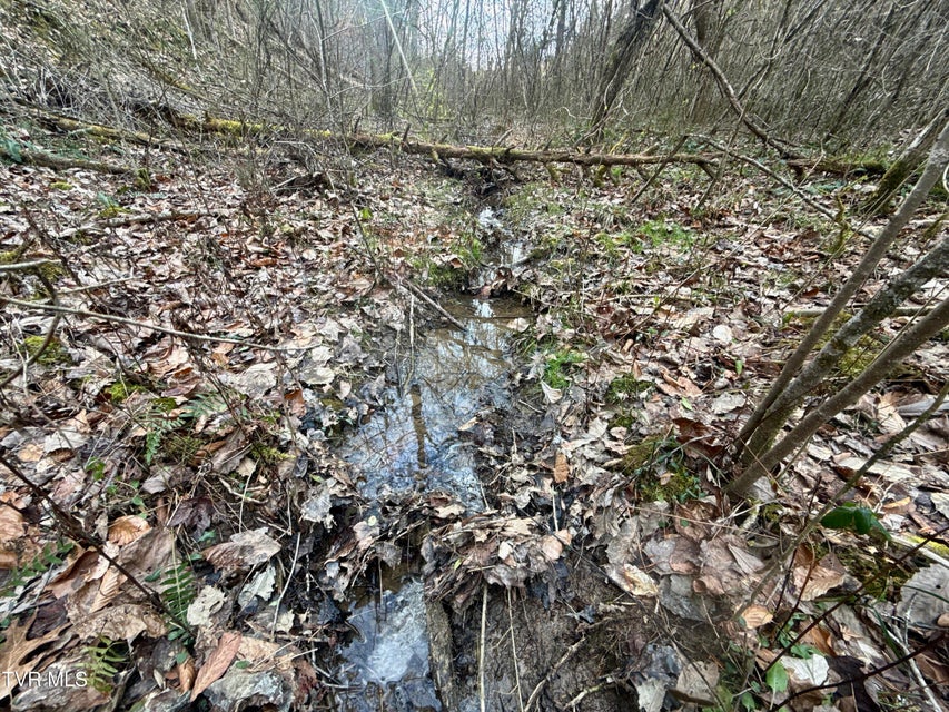 Photo #17: 25/Ac Tbd Coy Bradley Lane